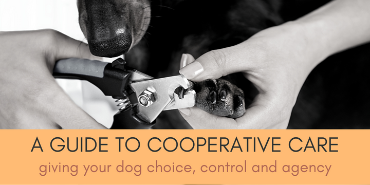 A guide to cooperative care - giving your dog choice, control and agency