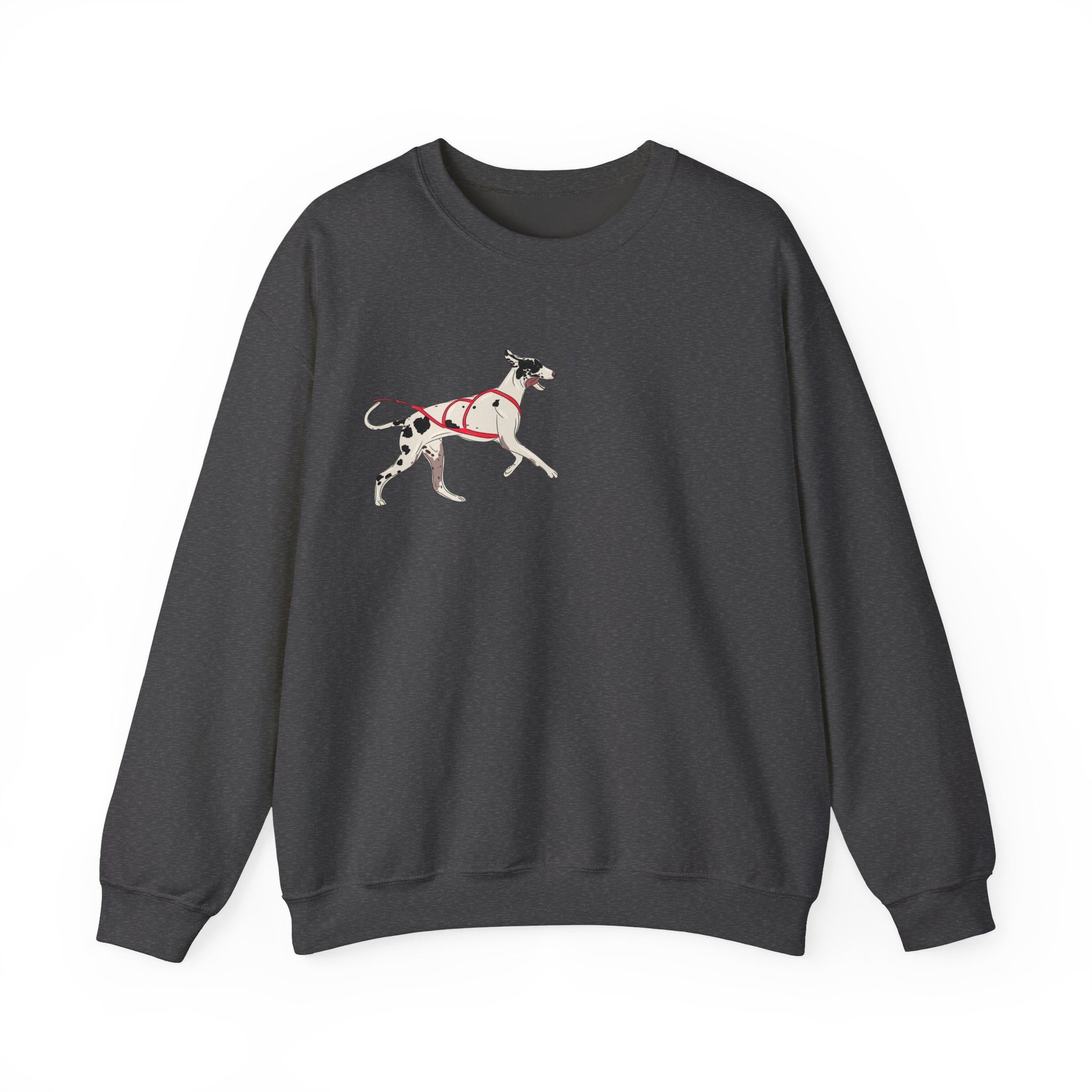 CUSTOM LIMITED EDITION - sledding jumper + digital drawing for print