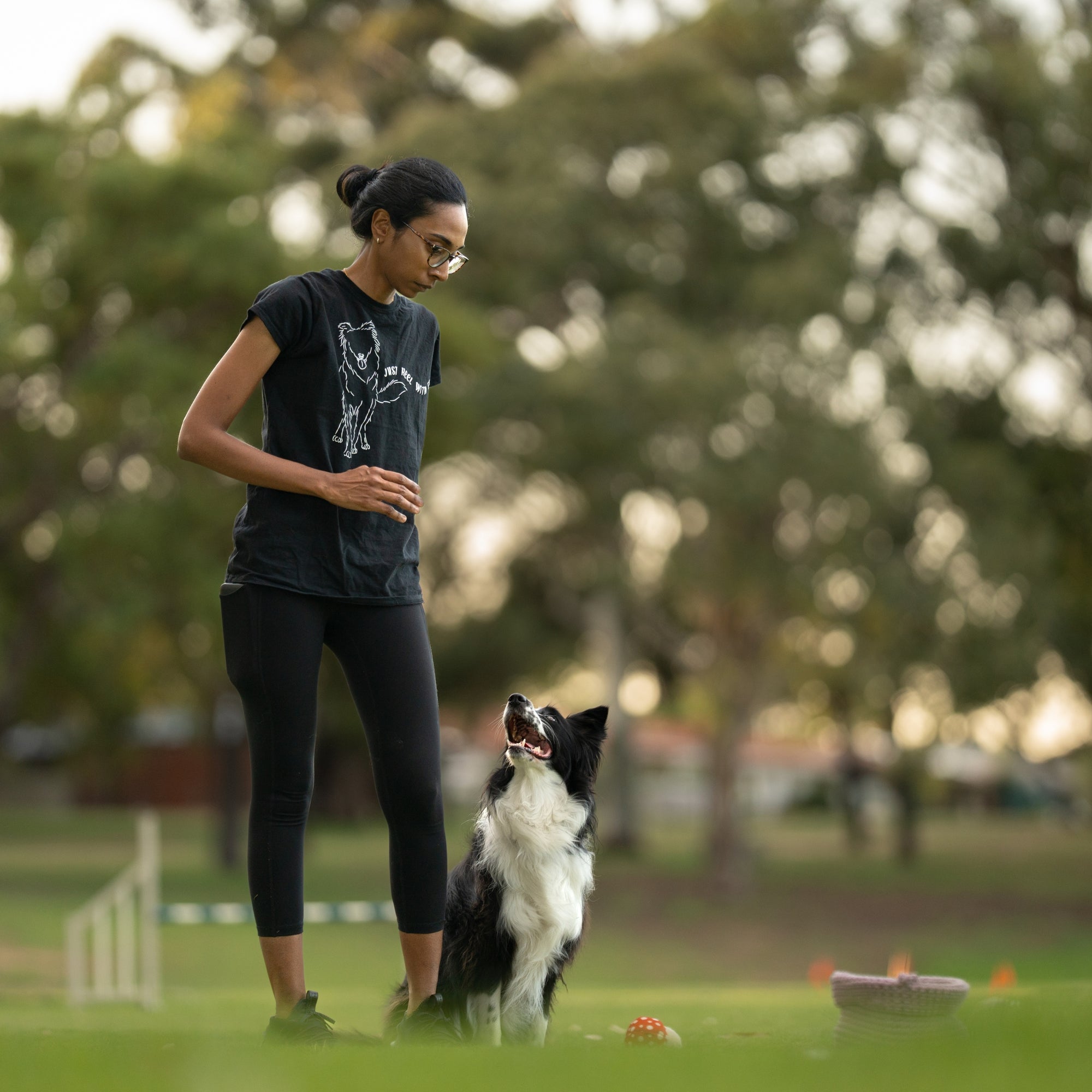 Custom Dog Sport Outline with text - Jumper