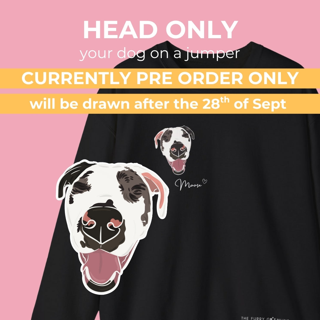 Custom Dog Portrait Jumper – Head Only Edition (Jumper + digital drawing file)