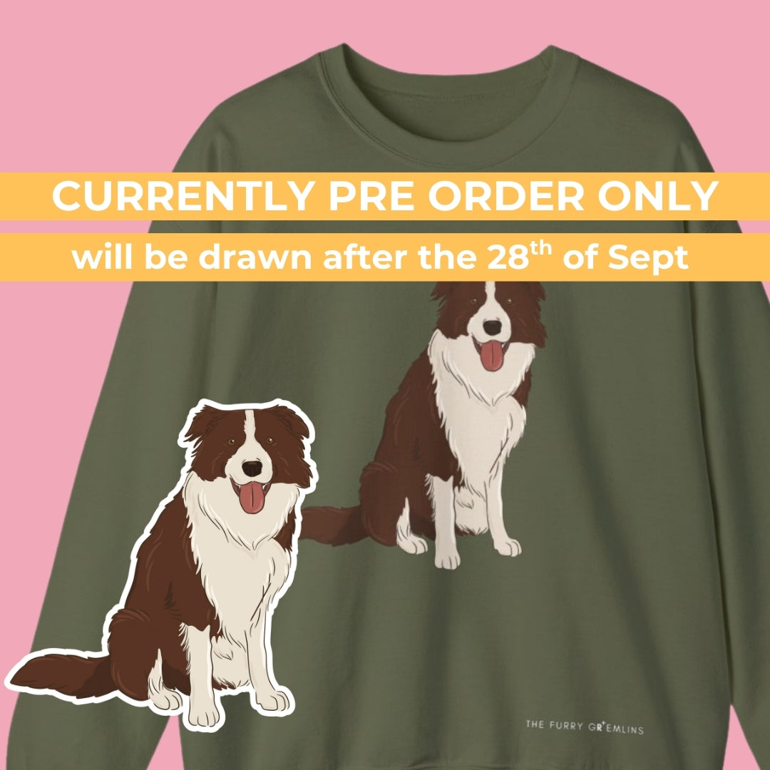 Your Dog on a Jumper β Colour Portrait Edition (Jumper + digital drawing file)