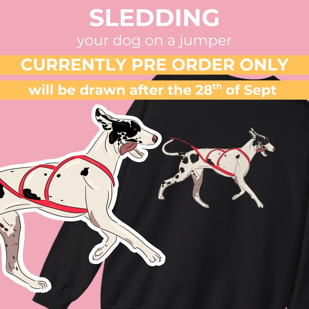 Personalised Dog Sledding jumper + digital drawing for print