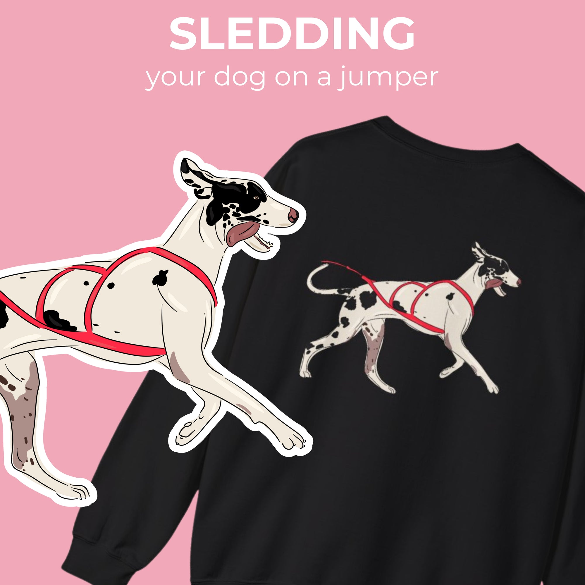 CUSTOM LIMITED EDITION - sledding jumper + digital drawing for print