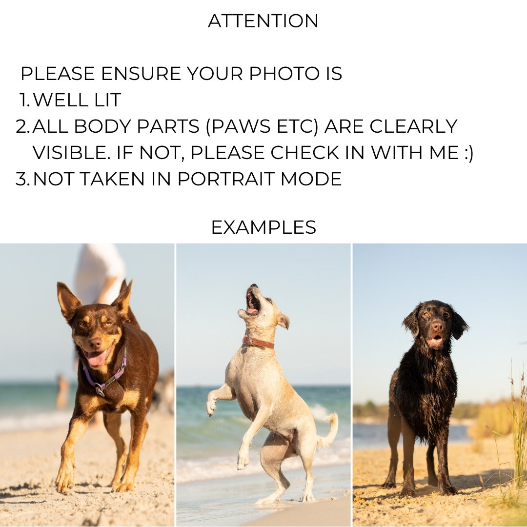 LIMITED EDITION Your Dog on a Tee – Colour Portrait Edition (Tee + digital drawing file)